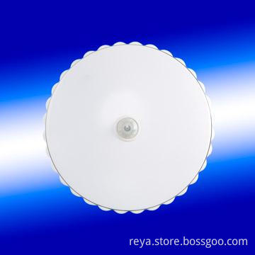 Body Induction lamp